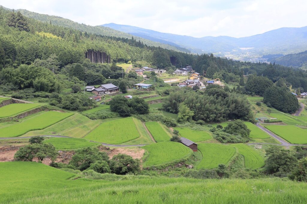 田園風景