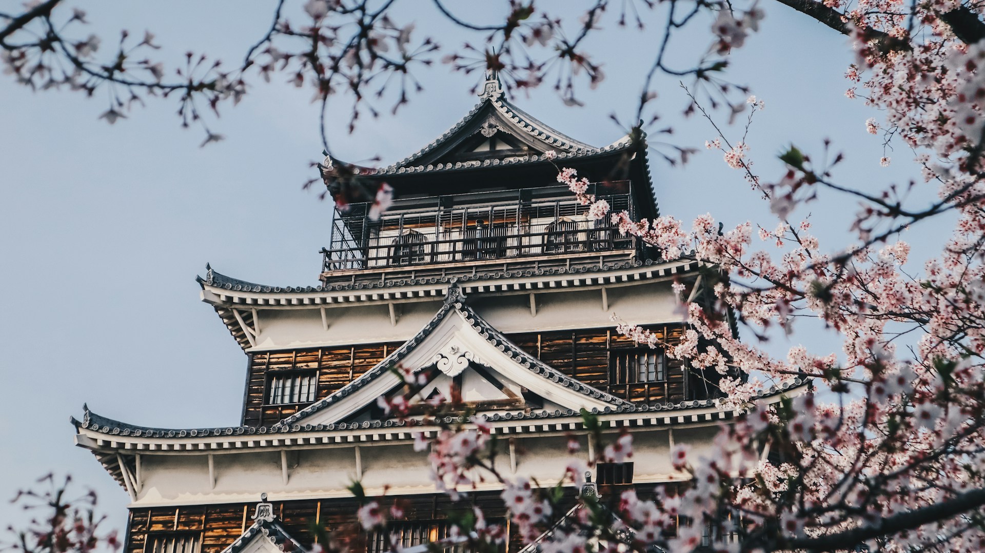桜とお城